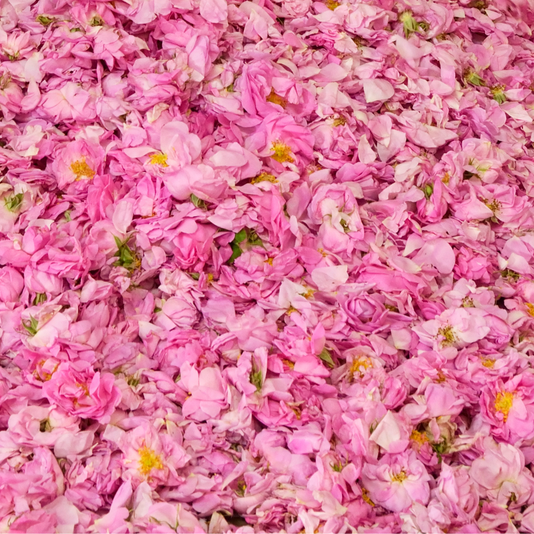 BULGARIAN ROSE WATER - JENA'S Cosmetics