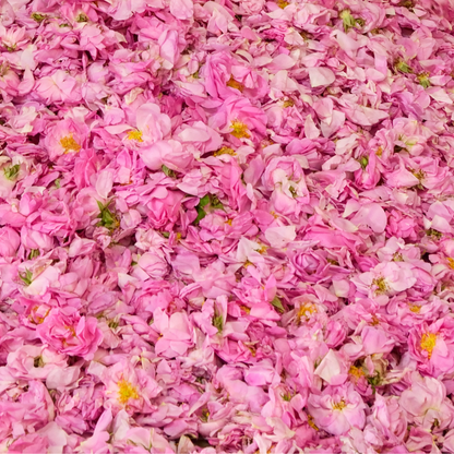 BULGARIAN ROSE WATER - JENA'S Cosmetics
